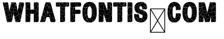 Ground Bold