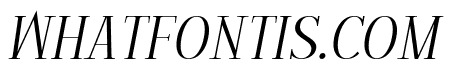 Homeric Christmas Italic