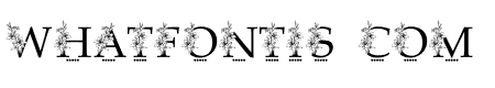 Lily Christmas Monogram