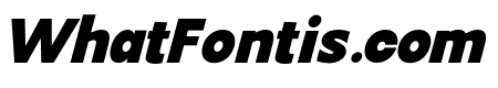 Mantey Black Italic