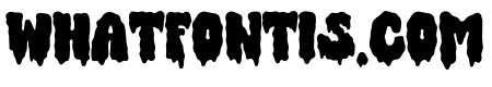 MidnightMadness