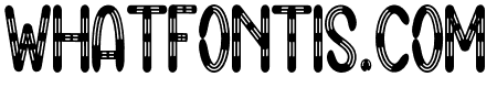 Momentic Halloween
