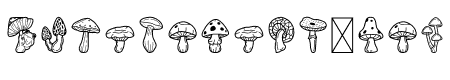 MushroomDoodle