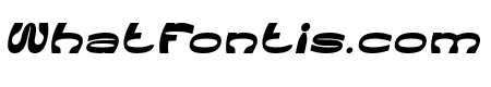 NEUROPLASTICITY Bold Italic