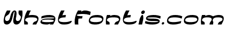 NEUROPLASTICITY Italic