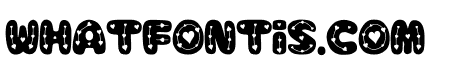 Oh My Darling Regular