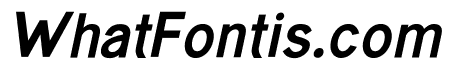 PARACHUTESSANS Bold Italic
