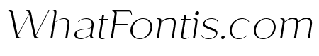 Paseo Thin Italic