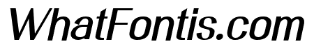 PLAYFUL RUNWAY Bold Italic