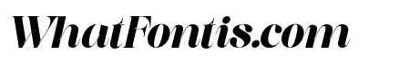 Saficel Black Italic