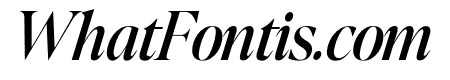 Scholar Italic