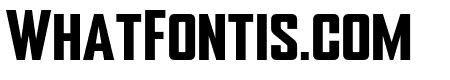 Sportize-Bold