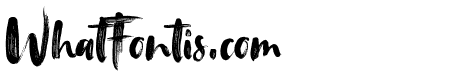 TanktopBrushFonts