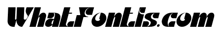 Timeless Balance Bold Italic