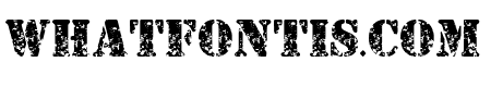 Veterans Army