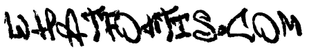 Zkoter Brush