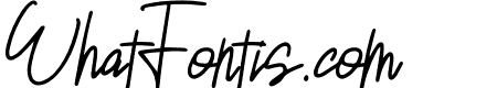 Sansitype Script