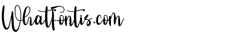 New Sinergetic