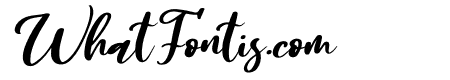 Sally & Smith Italic