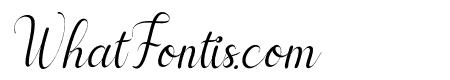cayla Italic