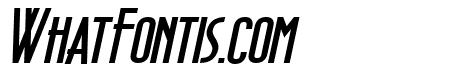 Wellcome Paradise Bold Italic