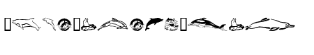 Dolphins
