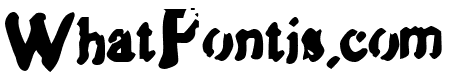Zipple    Bold