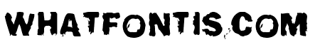 All your font are belong to us