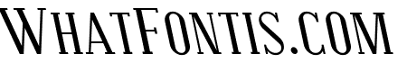 Covington SC Rev Italic