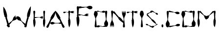 Dinner Regular