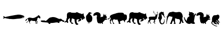 Animals
