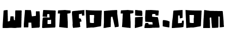 Guinea pigs