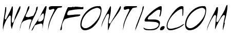 Wyld Stallyns Thin
