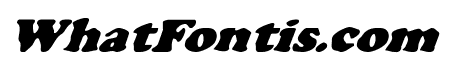 Charlemagne Condensed Italic