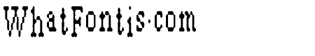 ARashNaziBlurb