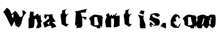 Inspector 39