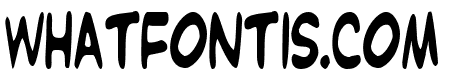 Witzworx Regular