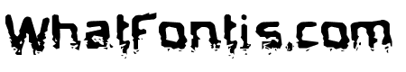 Biometric Joe