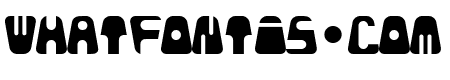 bald