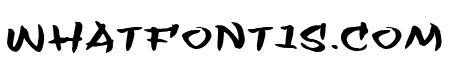Flashit