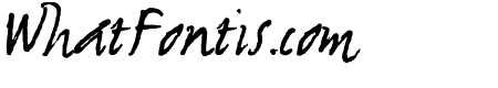 NewWGL4Font