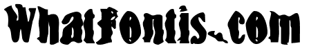 BN-Snake