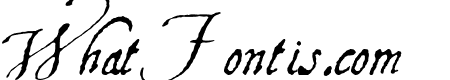Aquiline