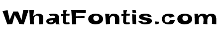 Snott  Bold