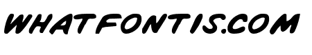 Vigilante Notes