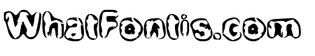 BN-Maxi