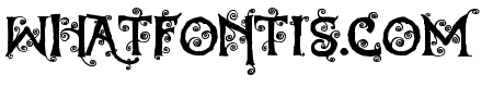 Dearest Dorothy