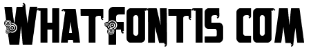 VTKS alpes