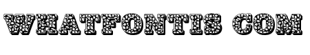 JFHollyNites