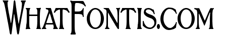 BoltonTitlingElongated